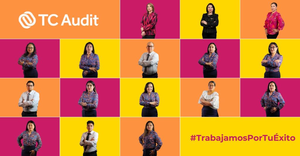 TC Audit